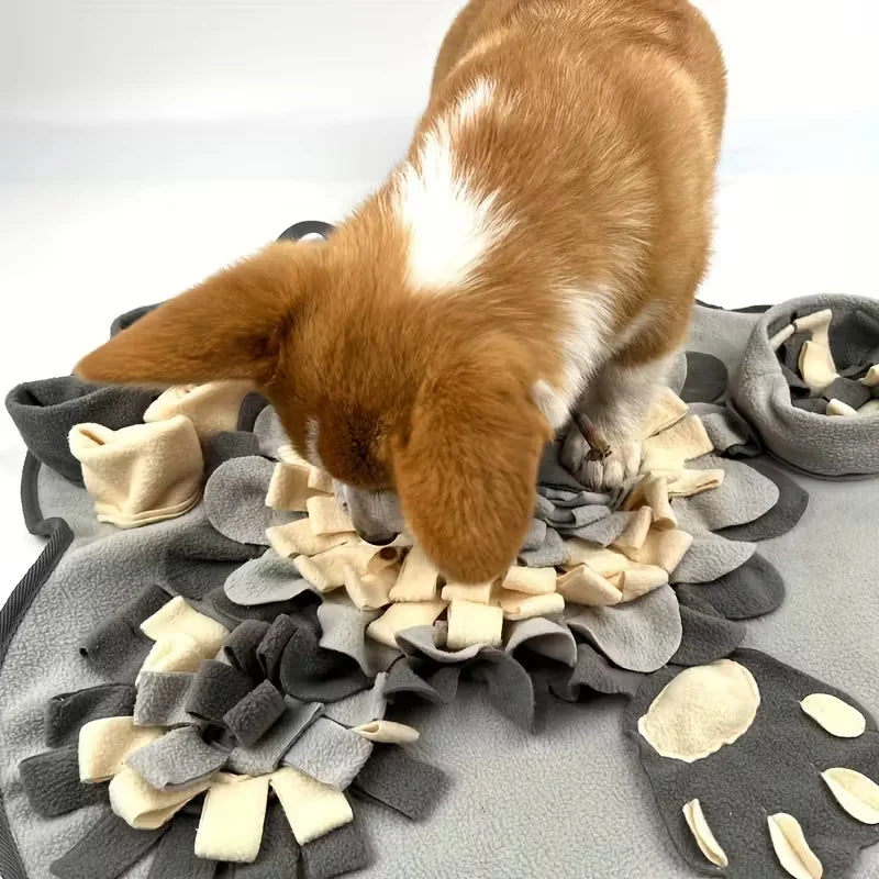 Pet Slow Feeder Foraging Puzzle Toy