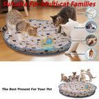 Interactive Cat Ball Toy