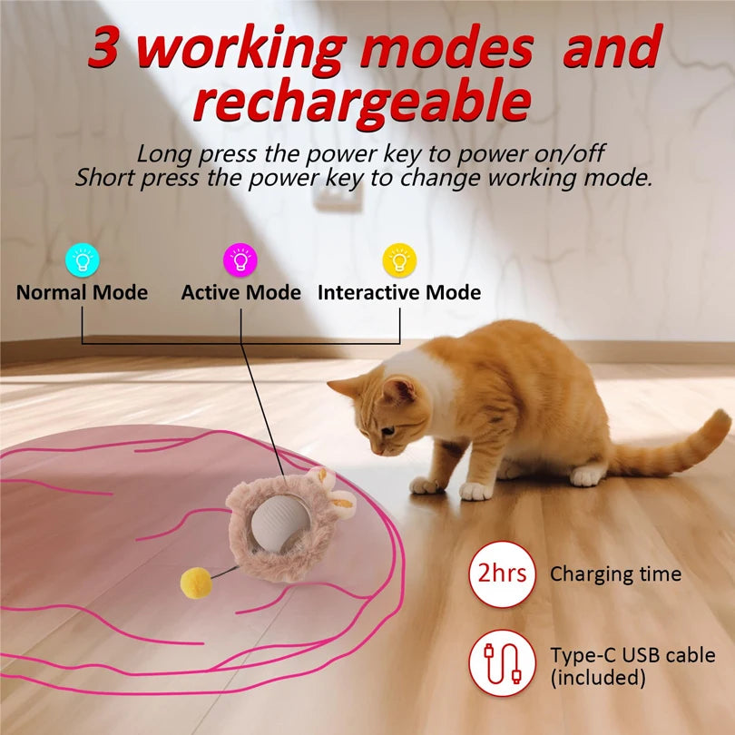 Interactive Cat Ball Toy