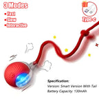 Interactive Cat Ball Toy