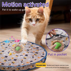 Interactive Cat Ball Toy
