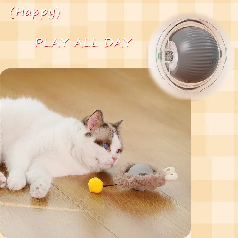 Interactive Cat Ball Toy