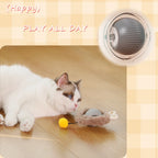 Interactive Cat Ball Toy