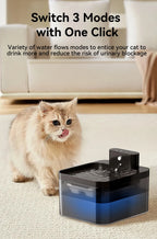 Wireless Automatic Cat Water Fountain